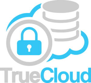 true-cloud-vertical-logo